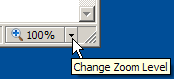 Internet Explorer 7 zoom facility